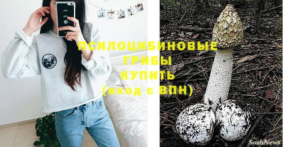 стаф Алексеевка