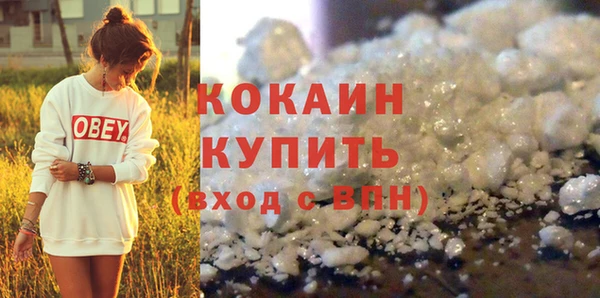 мяу мяу мука Дмитриев